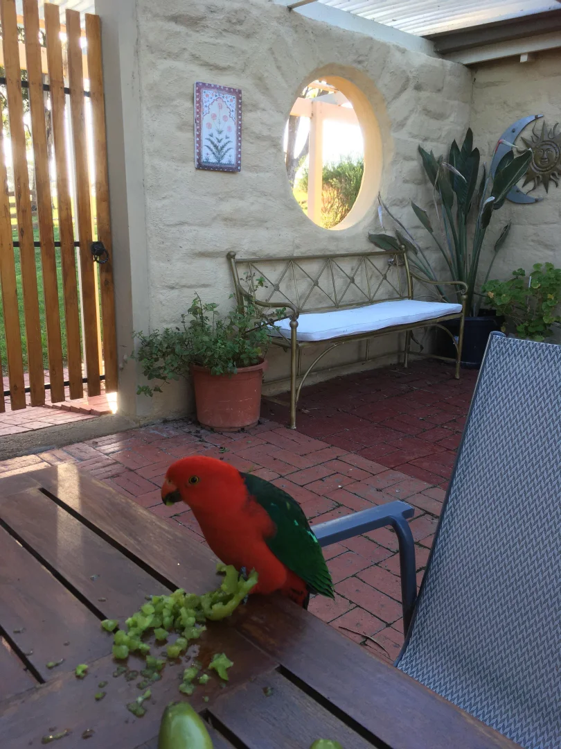 Additional image 18 of 125 Cornwalls Road, Nungurner VIC 3909