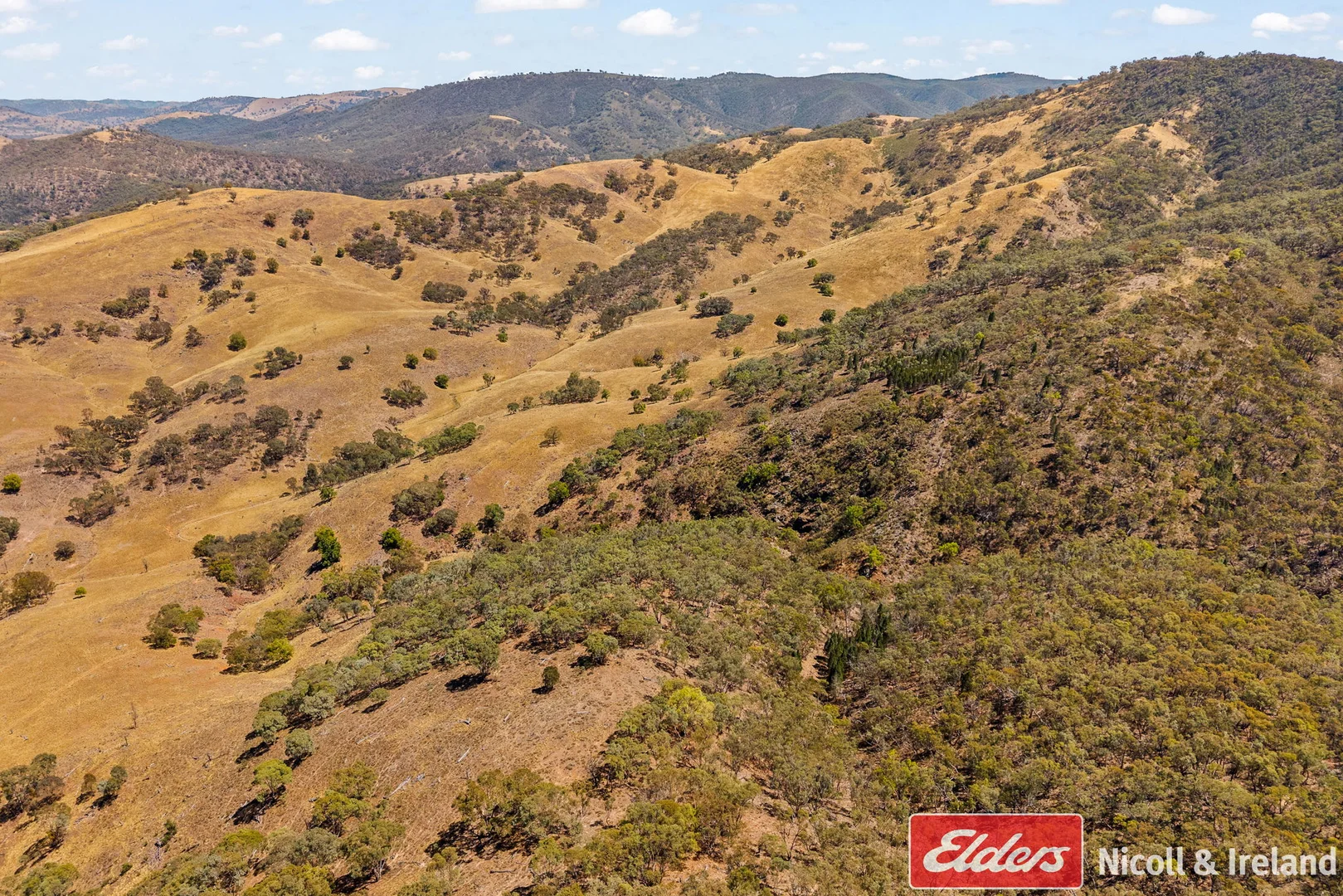 Additional image 24 of 3548 The Bridle Track, Bruinbun NSW 2795