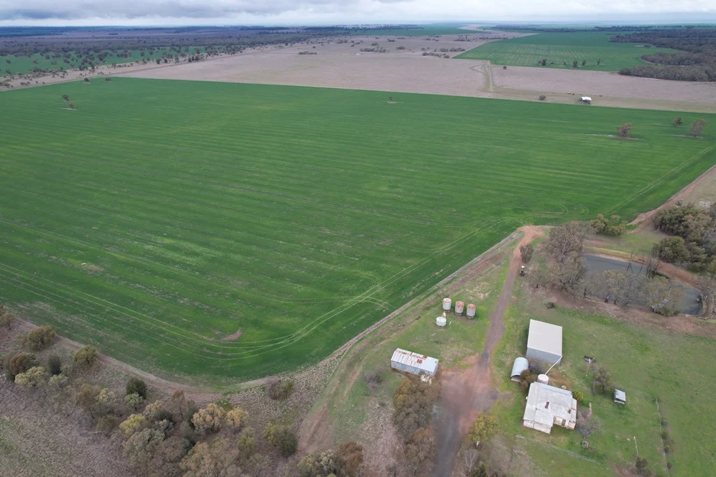 Additional image 6 of 'Merungle' 6689 Mid Western Hwy, Marsden, West Wyalong NSW 2671