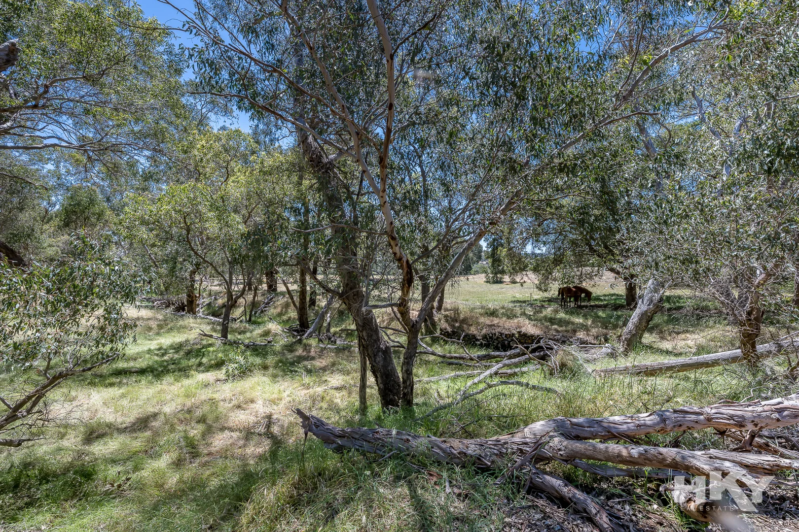 Additional image 4 of 5332 Great Northern Highway (Enter Off Chittering Road), Chittering WA 6084