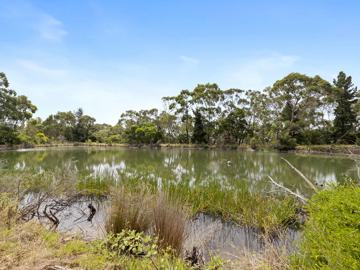 Additional image 23 of 105 Hunts Road, Balnarring VIC 3926