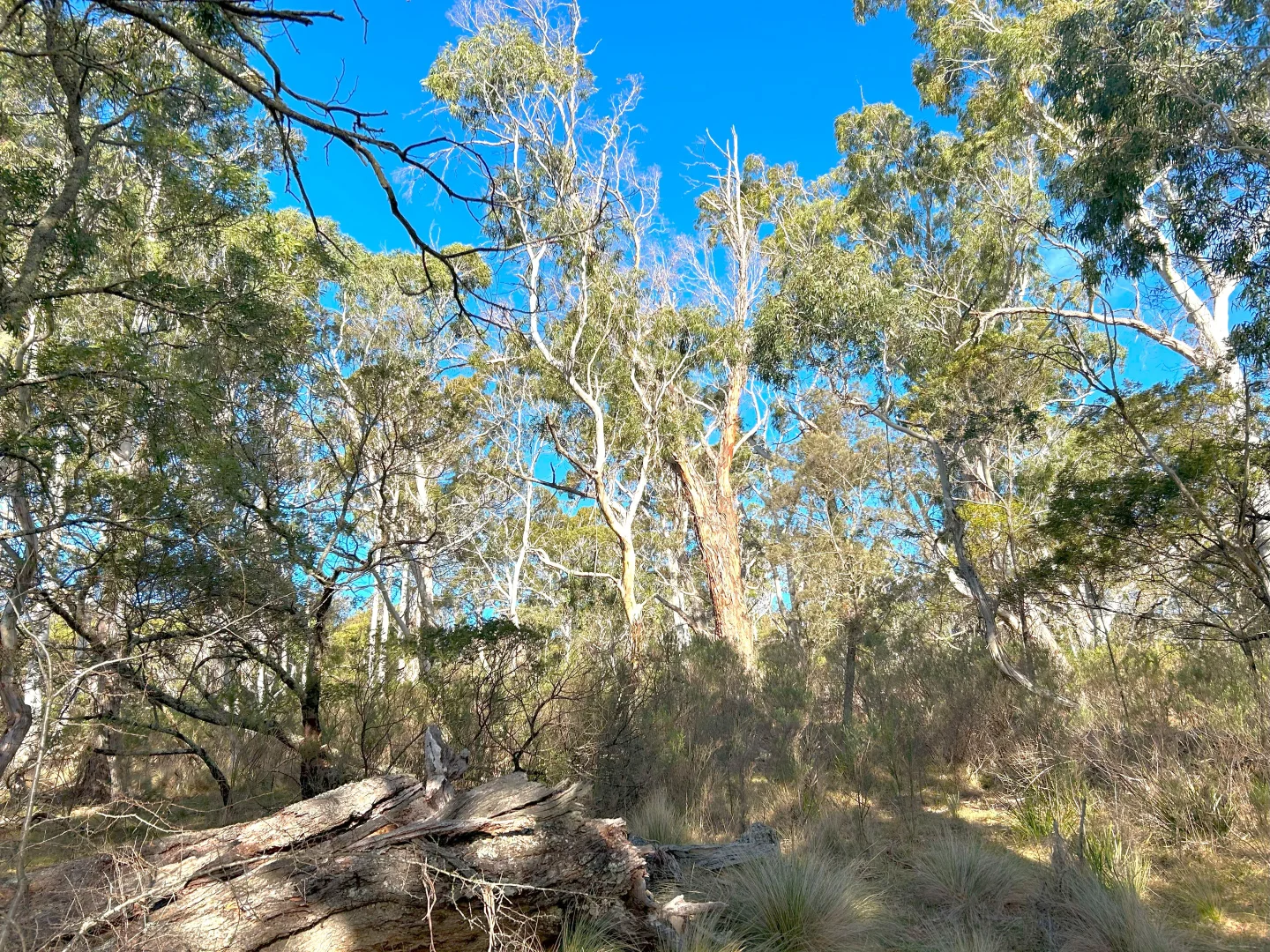 Additional image 23 of 11 & 128 Stoney Ridge Road, Braidwood NSW 2622