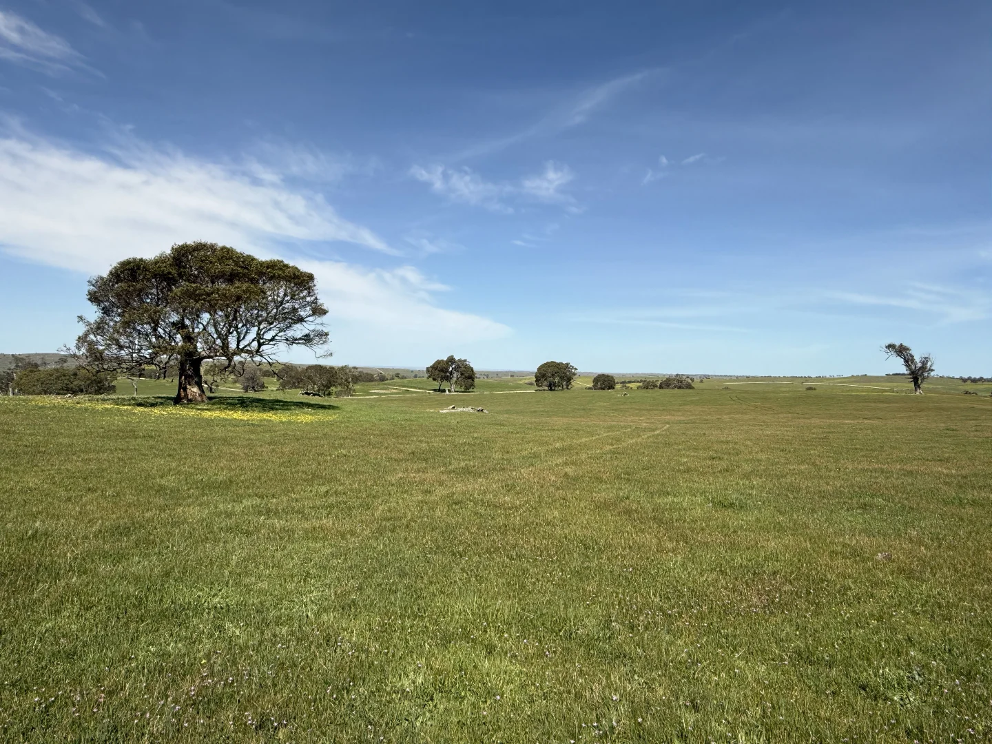 Additional image 4 of Lot 115 Mcgormans Road, Tungkillo SA 5236