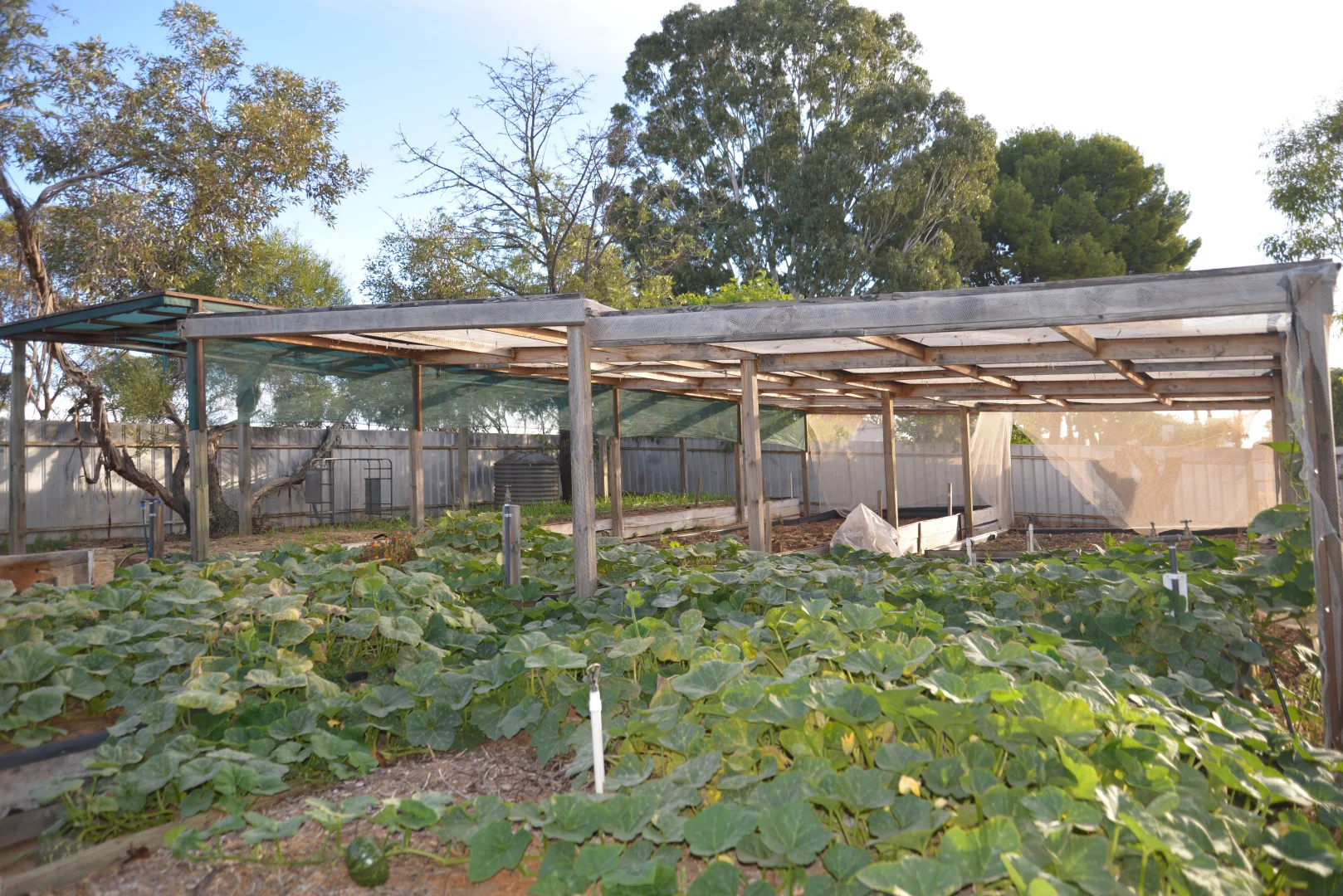 Additional image 22 of 49-53 Monash Avenue, Underbool VIC 3509