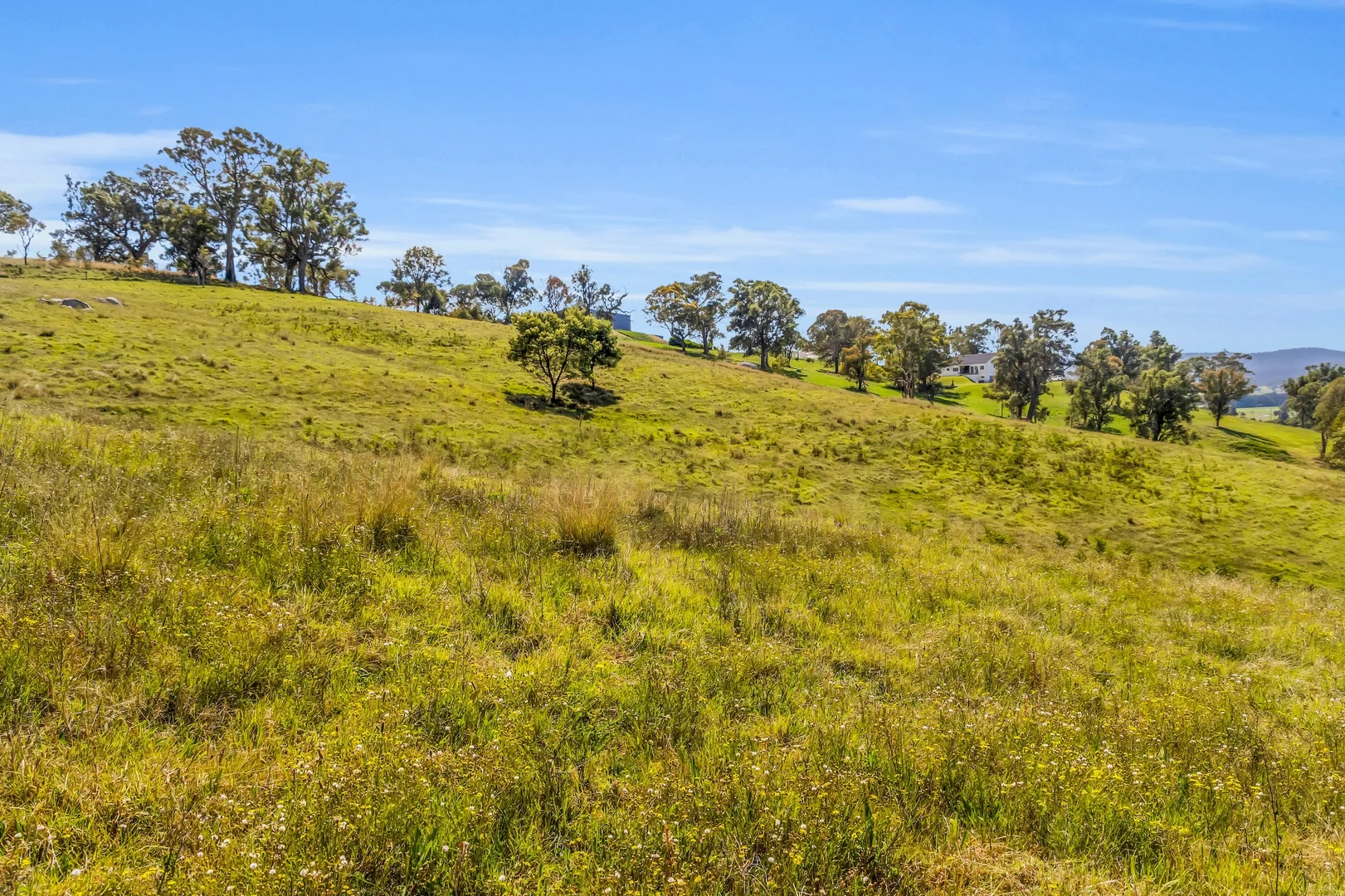 Additional image 35 of 90 Kerrisons Lane, Bega NSW 2550