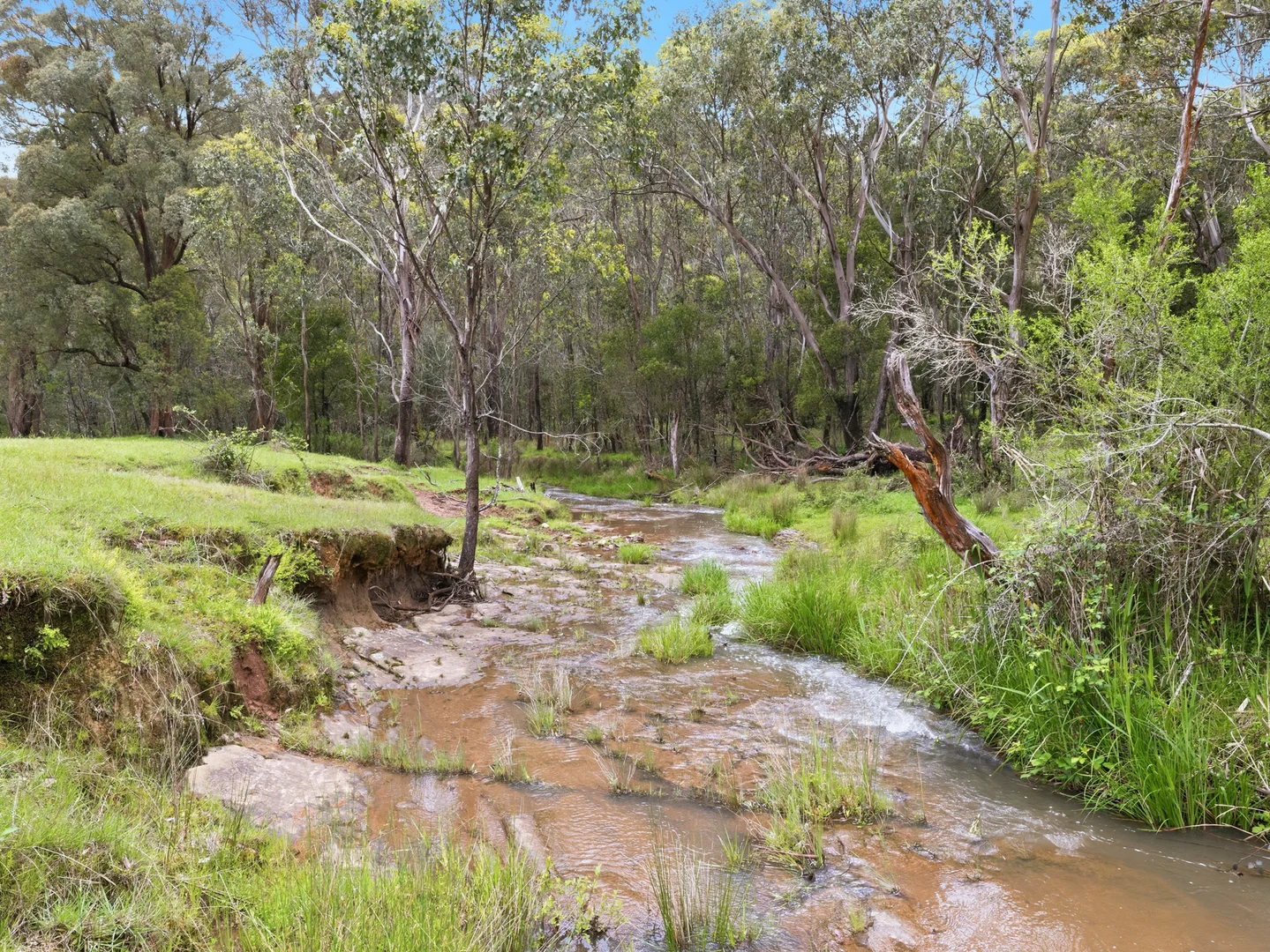 Additional image 22 of 829 Paradise Falls Road, Cheshunt VIC 3678