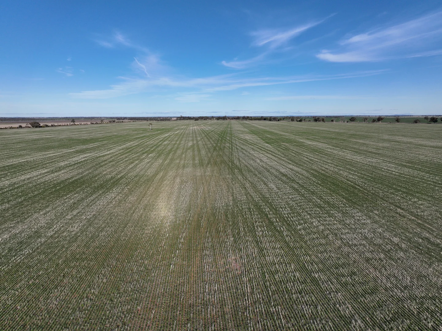 Additional image 15 of 0 Borung Highway, Jeffcott North VIC 3480