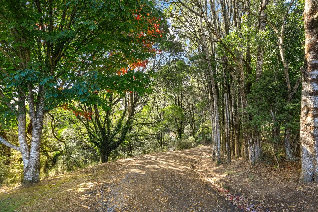 Additional image 14 of 1350 Wild Dog Road, Tanybryn VIC 3249