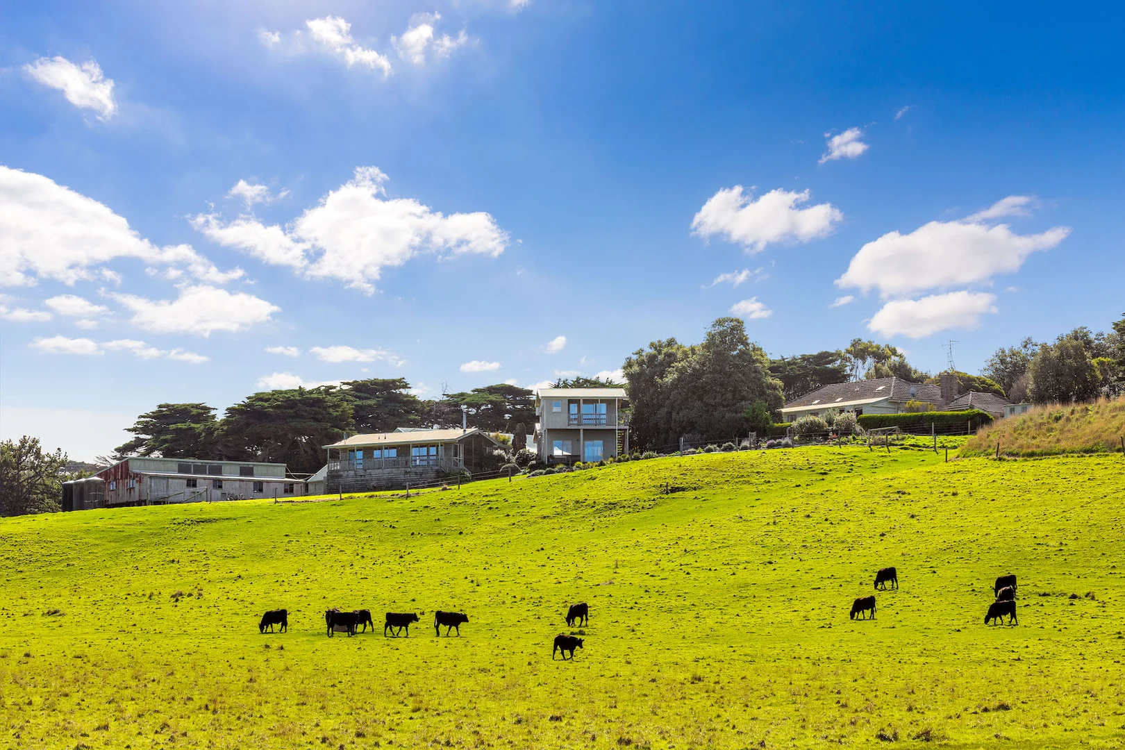 Additional image 21 of 1820 Boneo Road, Flinders VIC 3929