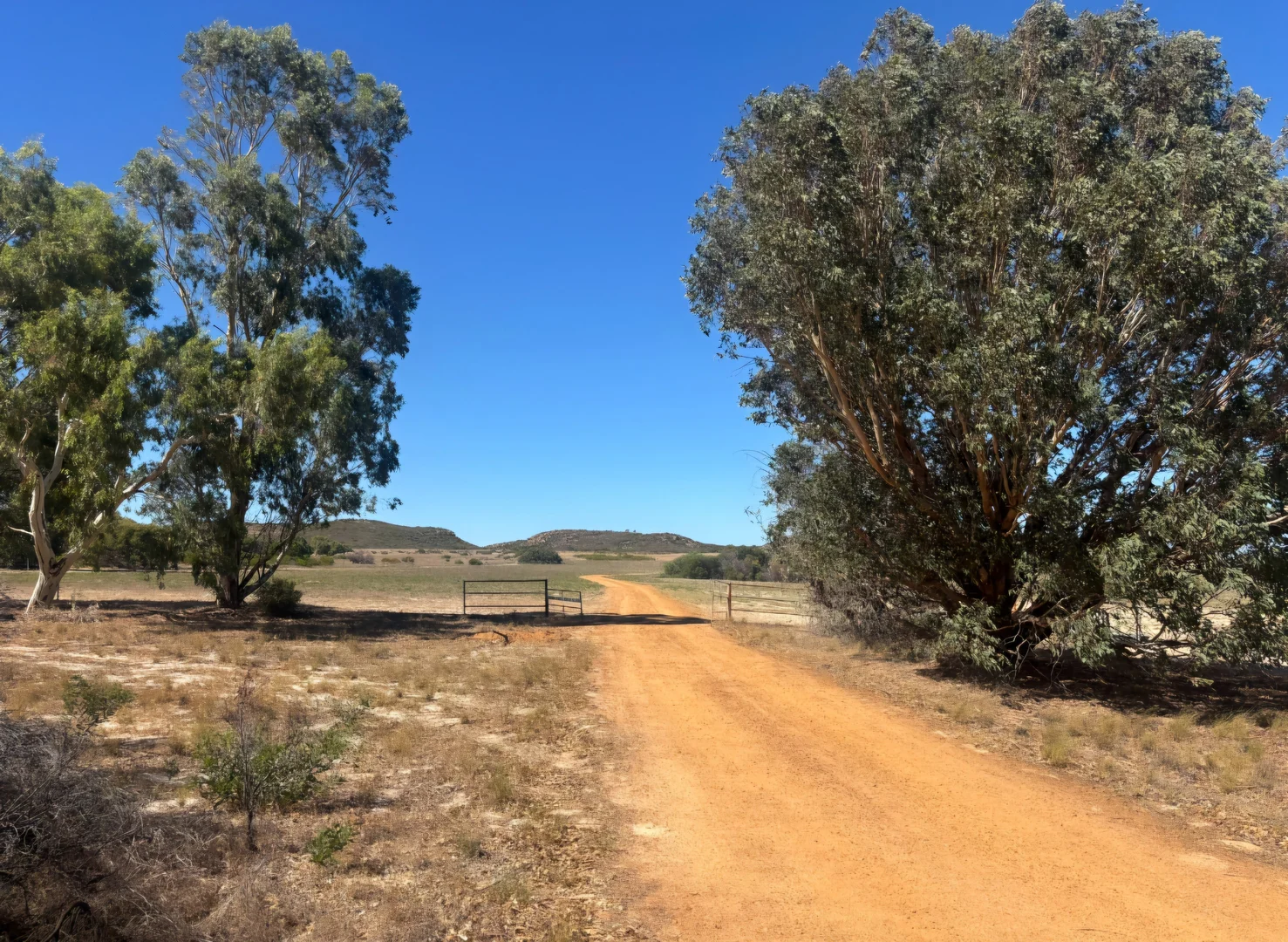 Additional image 5 of 1169 Allanooka Springs Road, Mount Hill WA 6528