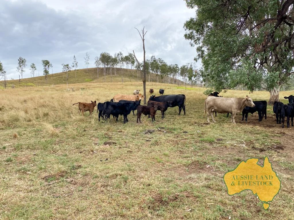 Additional image 34 of 8-9, . "O'Keefes & Tracey's", Monto Mount Perry Road, Mungy, Mungy QLD 4671