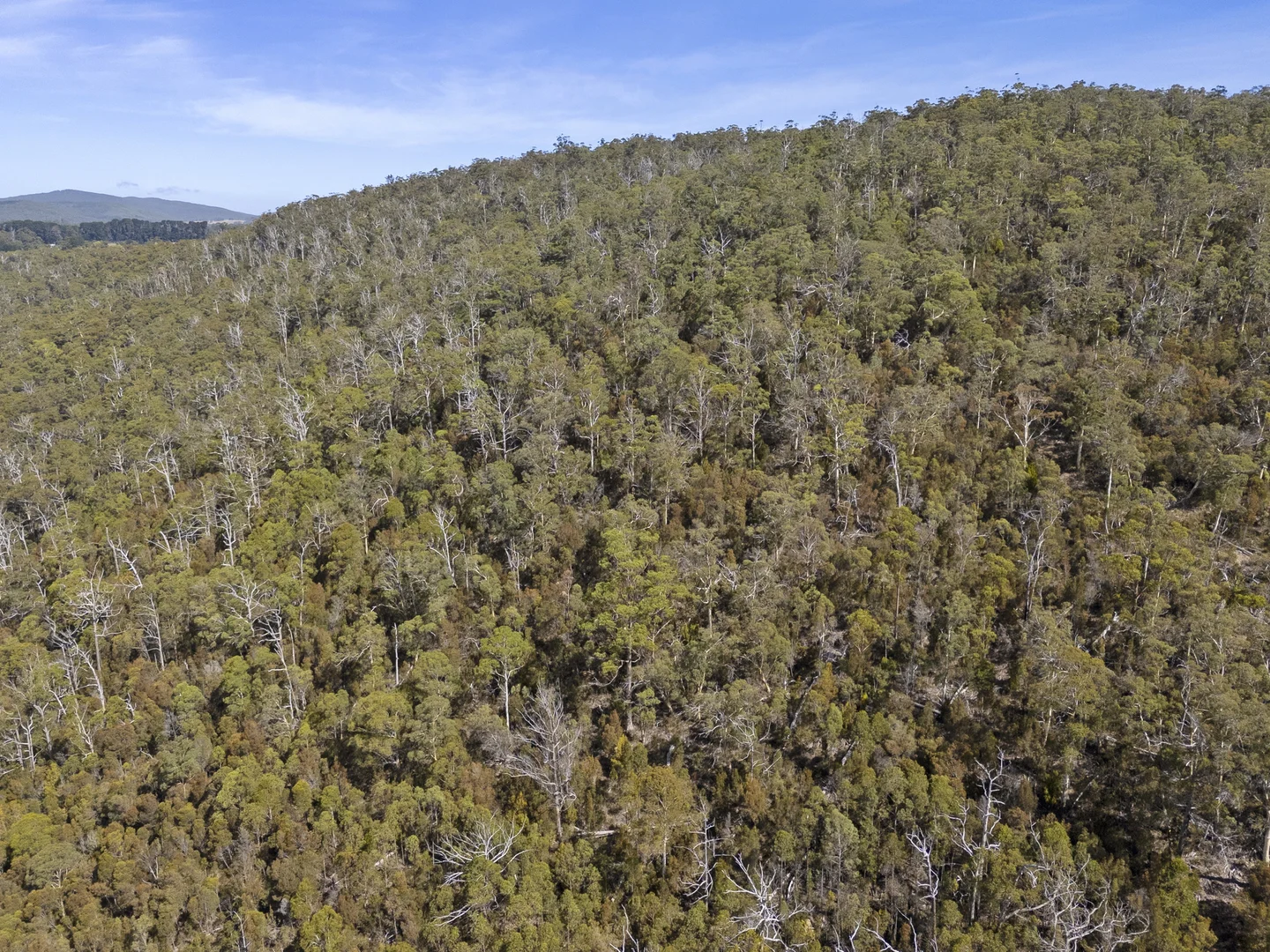 Additional image 26 of 2 and 3 White Beach Road, White Beach TAS 7184