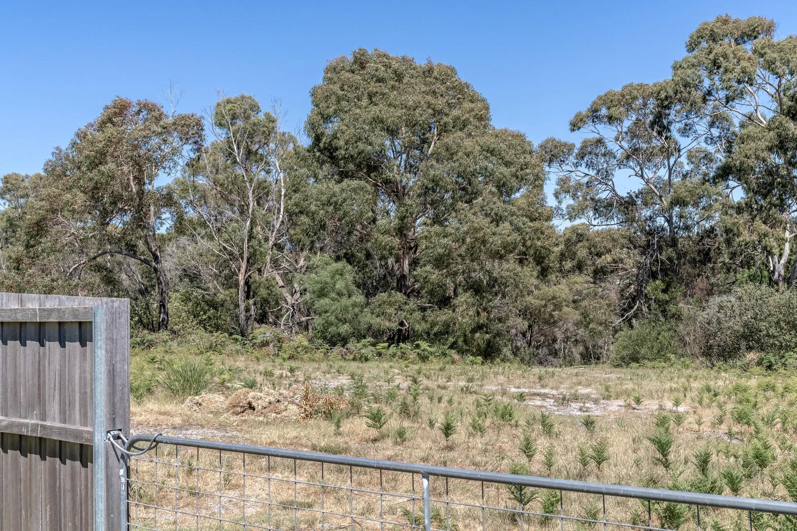 Additional image 16 of 3 King Street, Binalong Bay TAS 7216