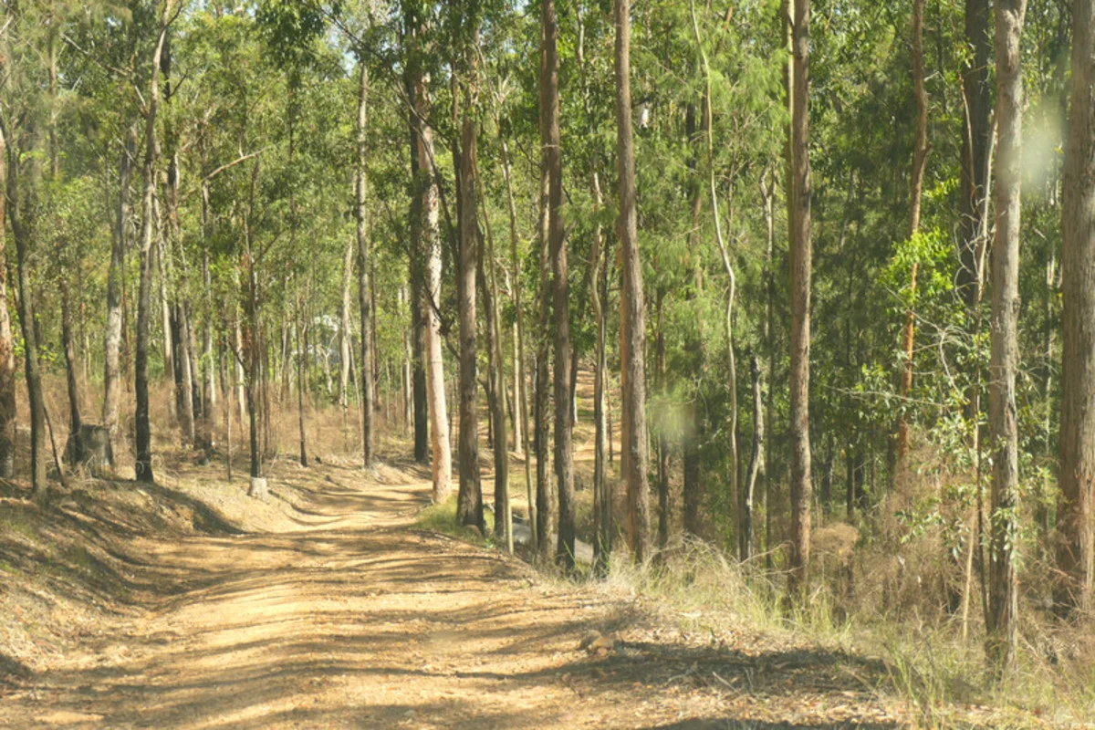 Additional image 31 of Bulldog NSW 2469