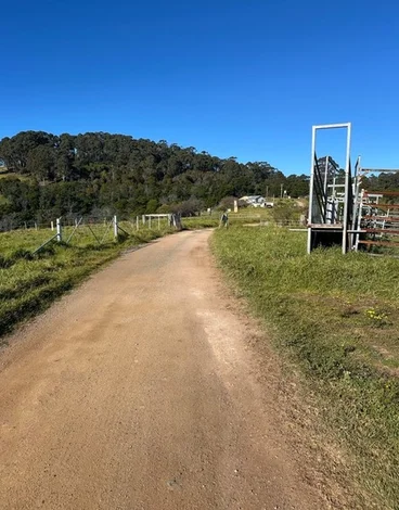 Additional image 7 of Lot 193 Fourter Road, Nethercote NSW 2549