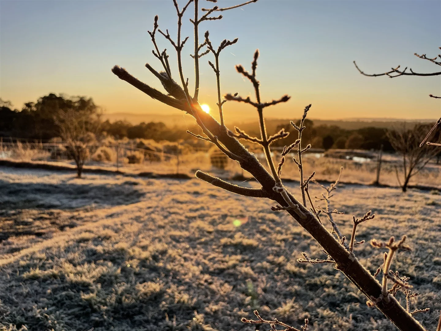 Additional image 19 of 359 Forest Siding Road, Middle Arm NSW 2580
