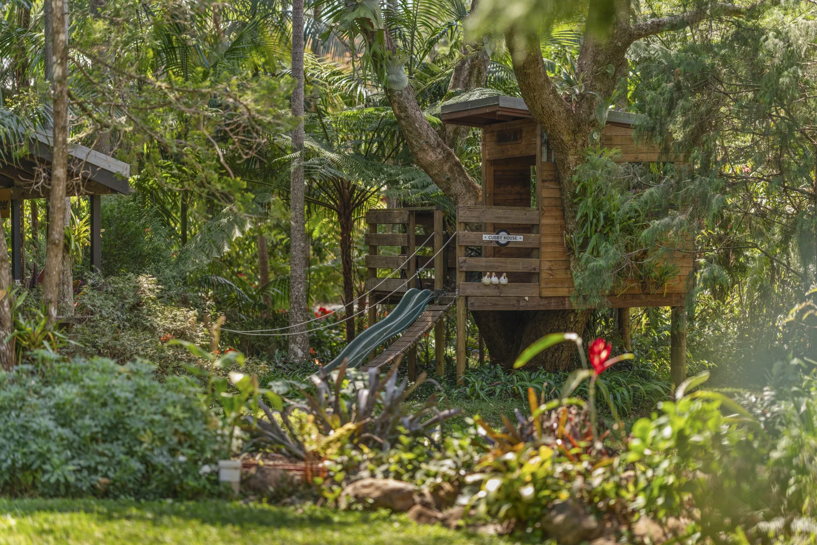 Additional image 32 of Tamborine Mountain QLD 4272