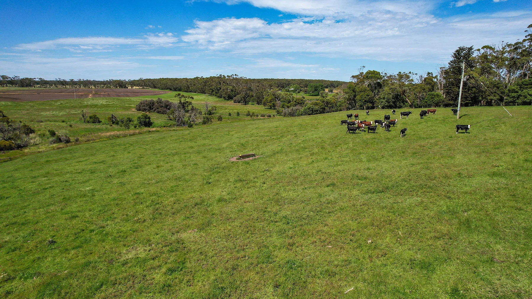 Additional image 31 of 335 Rollos Road, Panmure VIC 3265