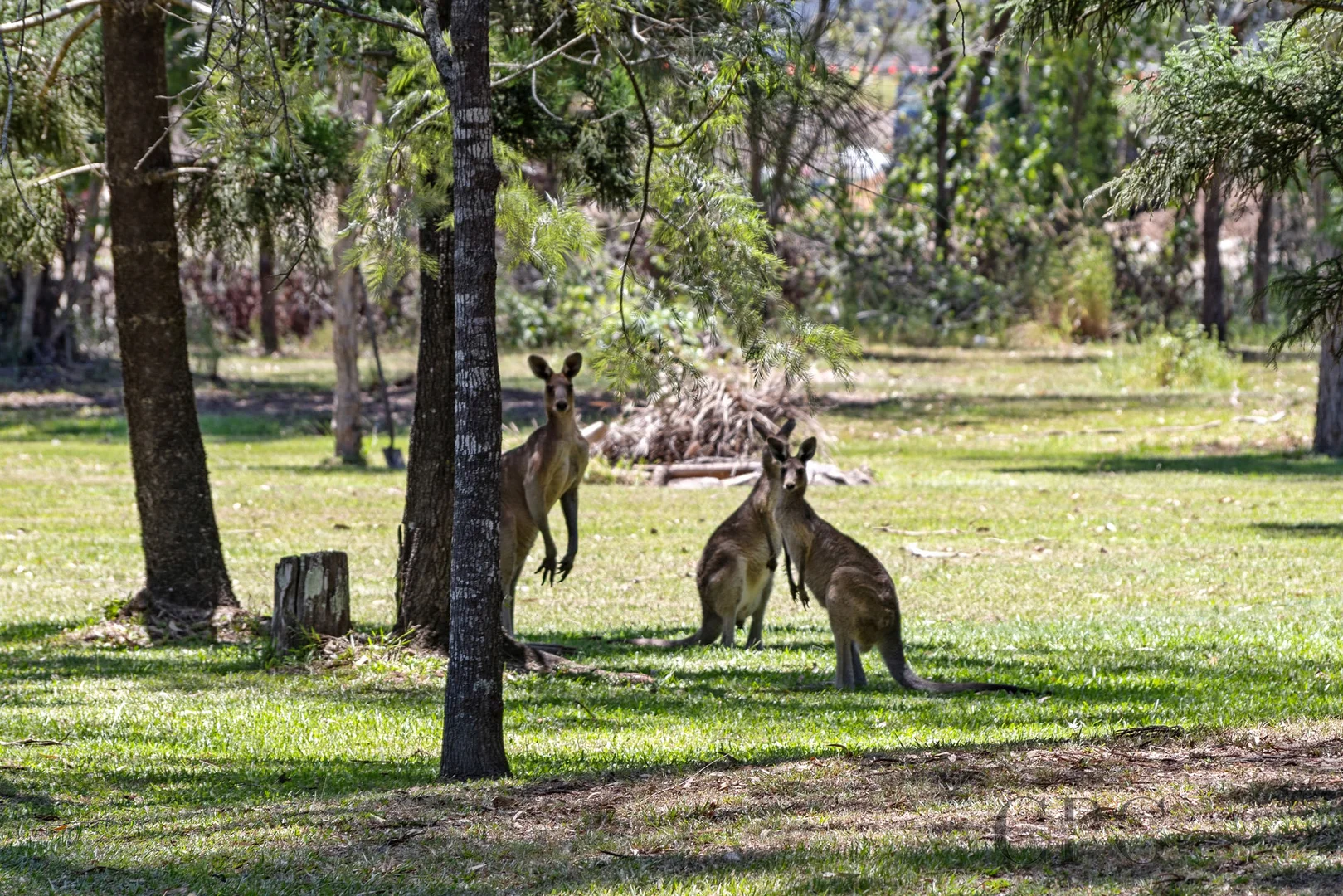 Additional image 32 of 80 Clark Road, Morayfield QLD 4506