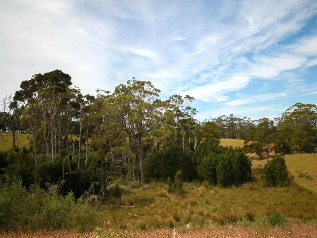 Additional image 21 of 211 Upper Scotchtown Road, Scotchtown TAS 7330