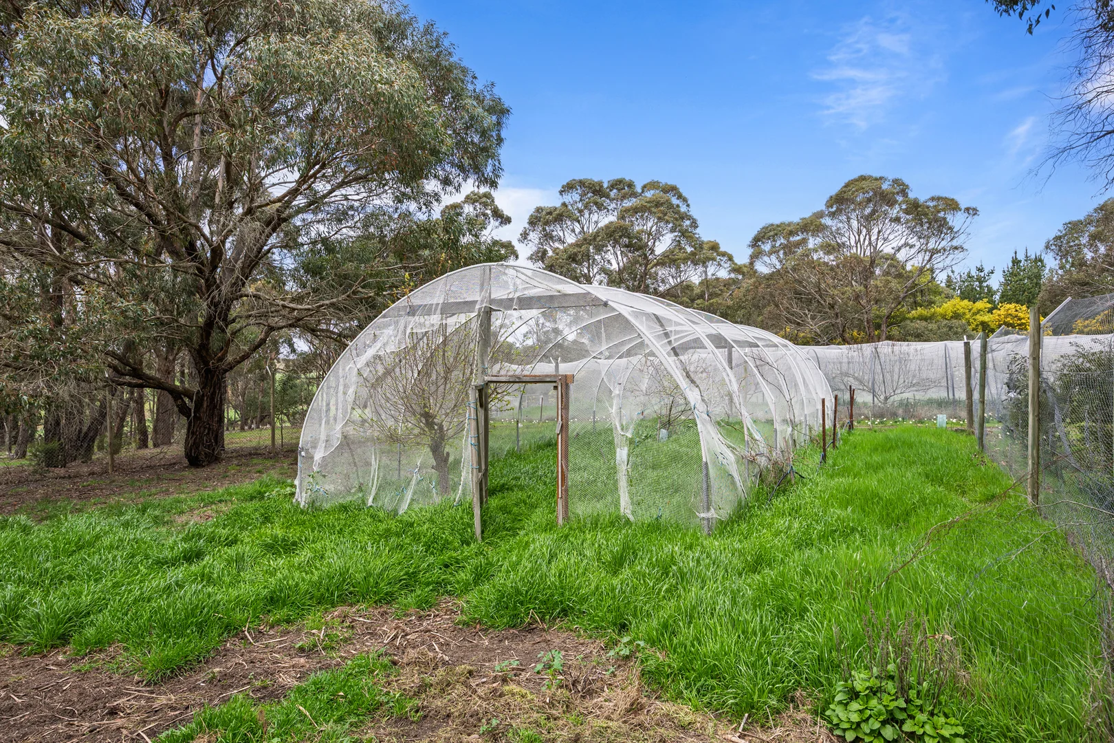 Additional image 18 of Durham Lead VIC 3352