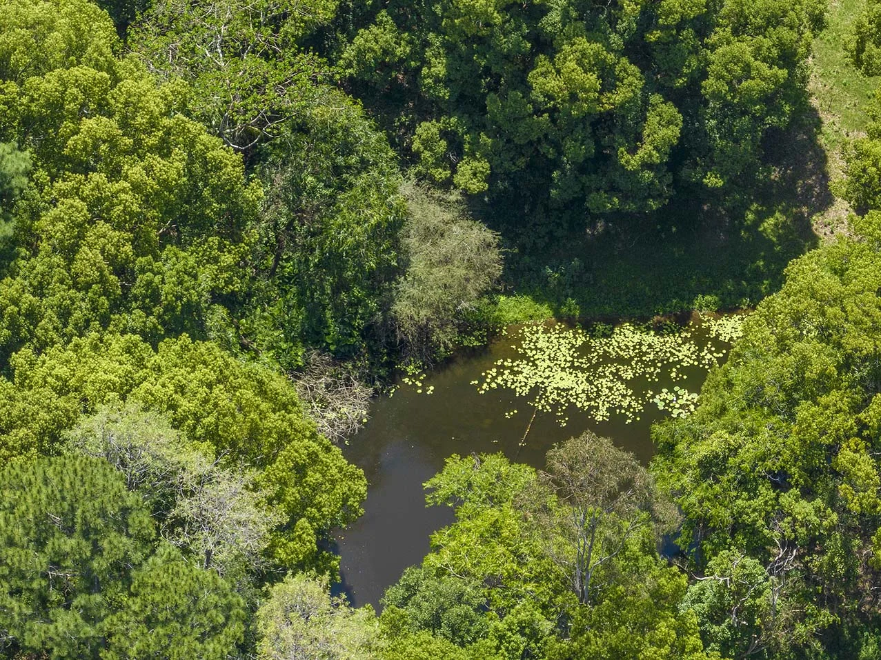 Additional image 14 of 263 Tyagarah Road, Myocum NSW 2481