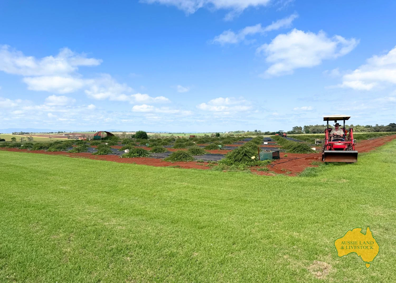 Additional image 29 of 544 WATTLEGROVE ROAD, Benair QLD 4610