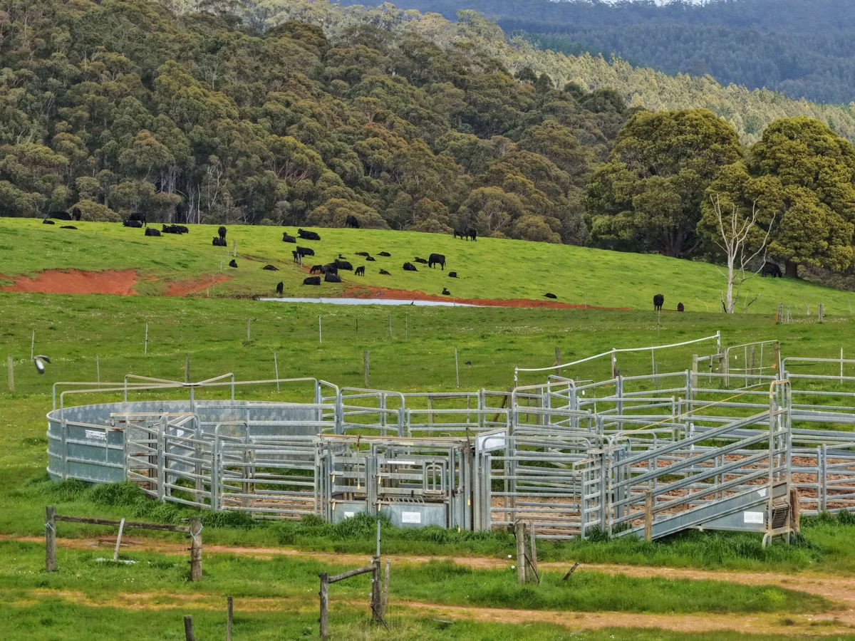 Additional image 13 of 220 Horns Road, Riana TAS 7316