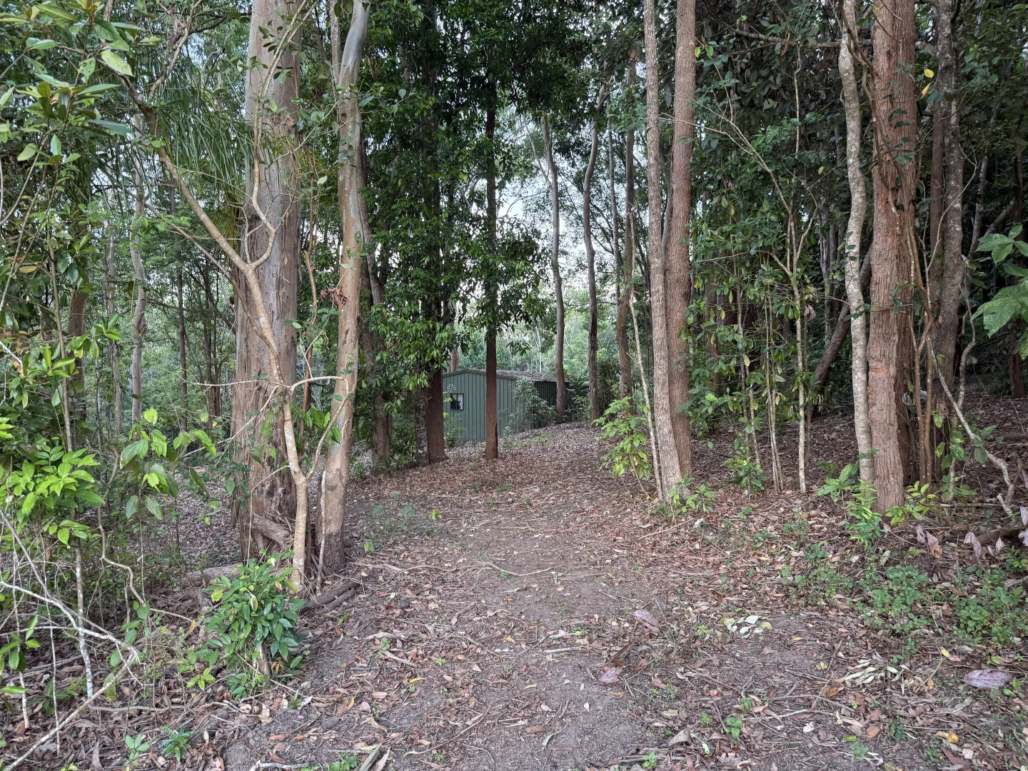 Additional image 9 of Lot 3/3 Penda Street, Yungaburra QLD 4884