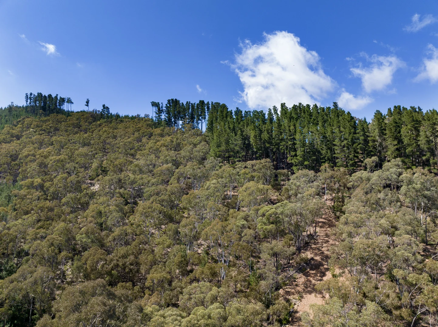 Additional image 7 of 771 Greywacke Road, Twenty Forests NSW 2795