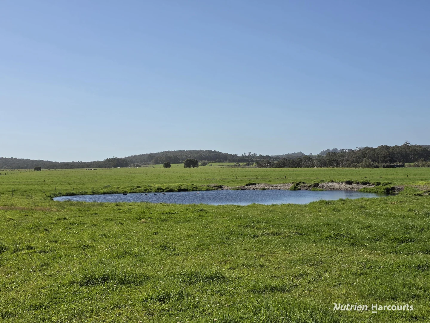 Additional image 23 of 60 Skippings Road, Kordabup WA 6333