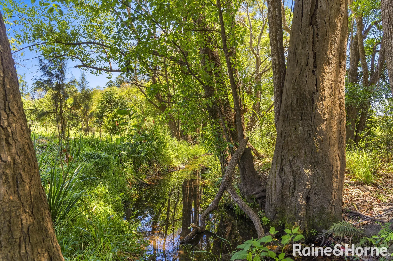 Additional image 18 of 26 Fawcett Street, Kyogle NSW 2474