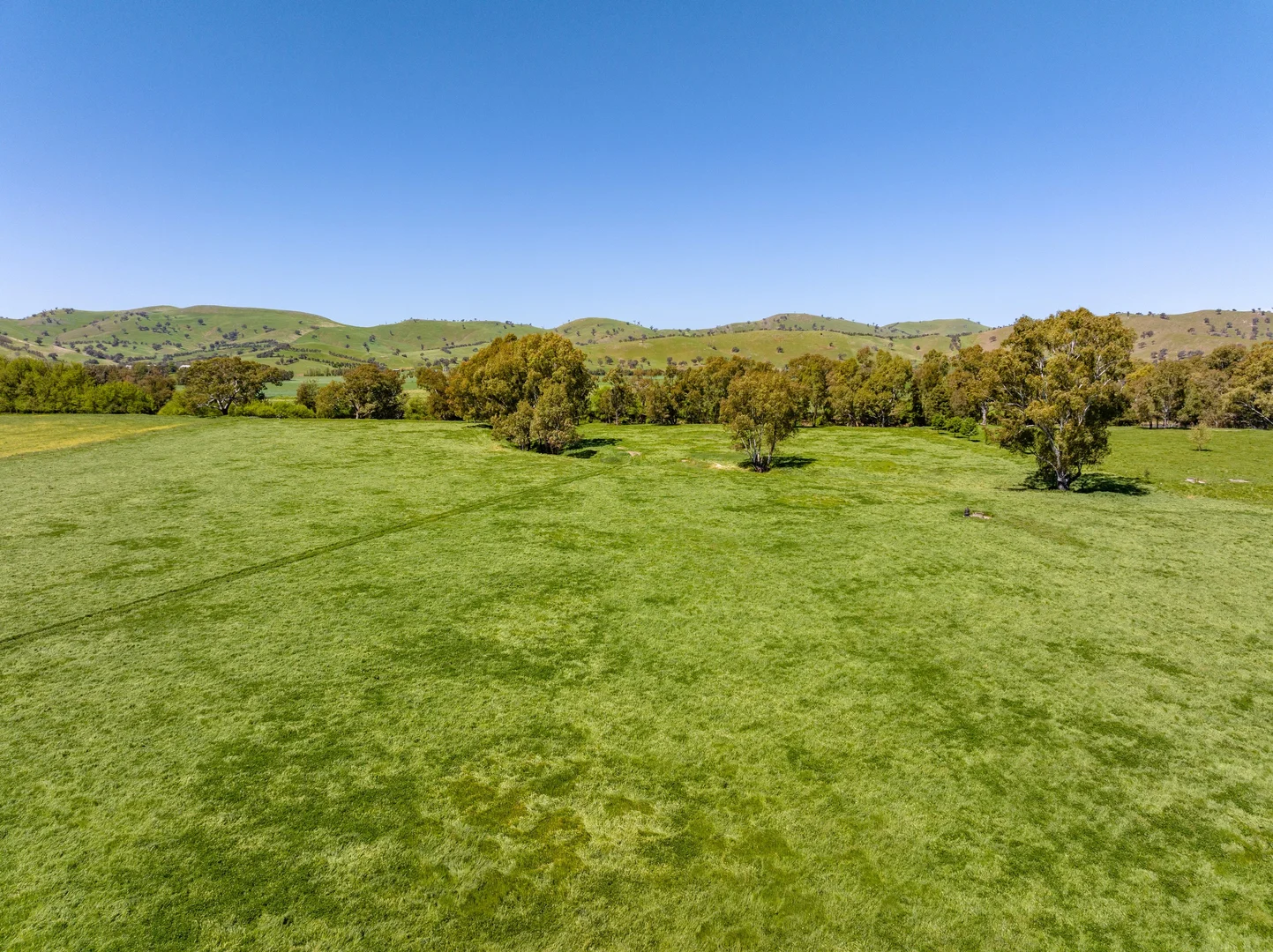 Additional image 28 of 44 Dodd Street, Gundagai NSW 2722