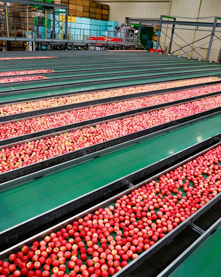 Additional image 19 of Orrvale VIC 3631