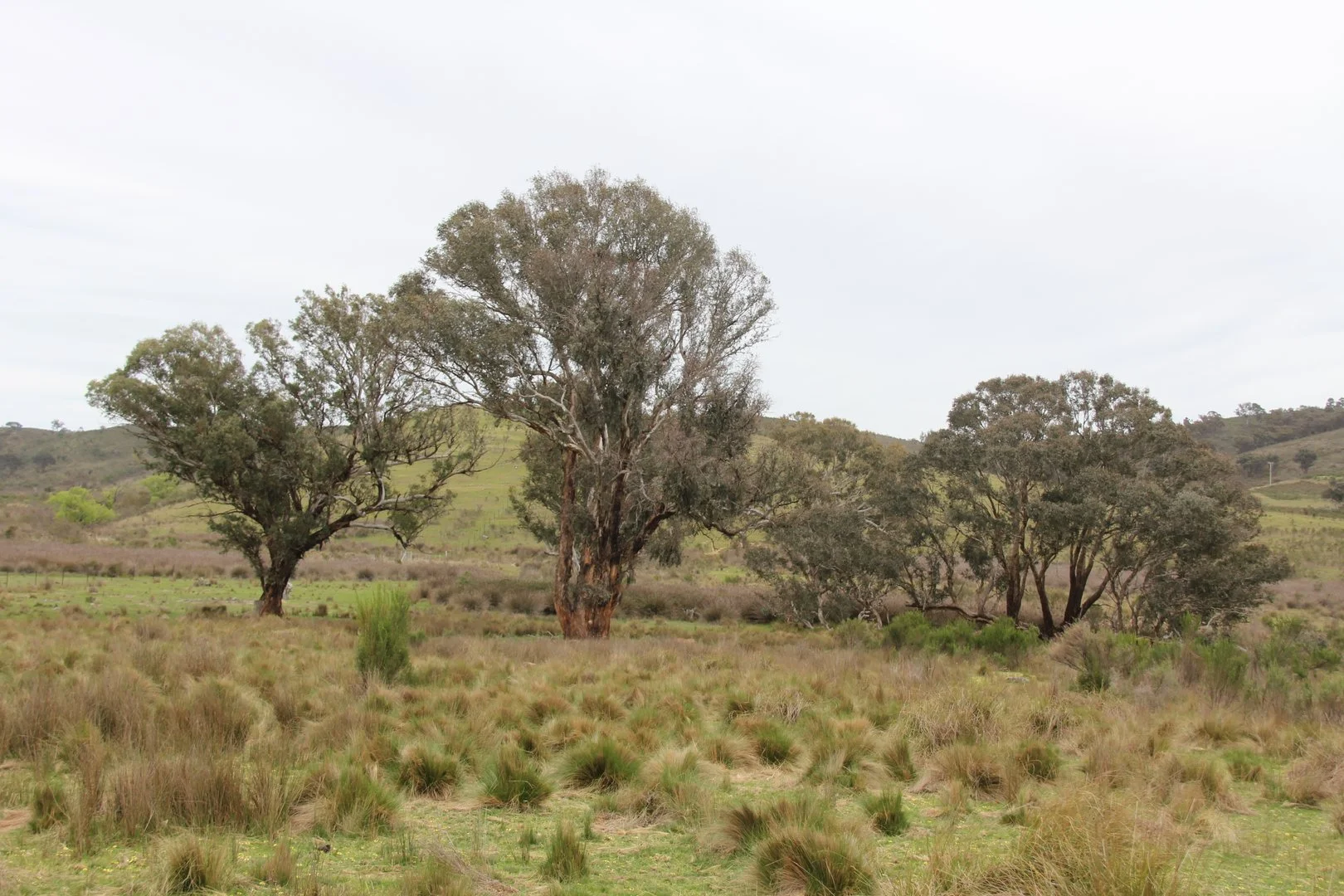 Additional image 13 of 2008 Kiowarrah Road, Bevendale NSW 2581