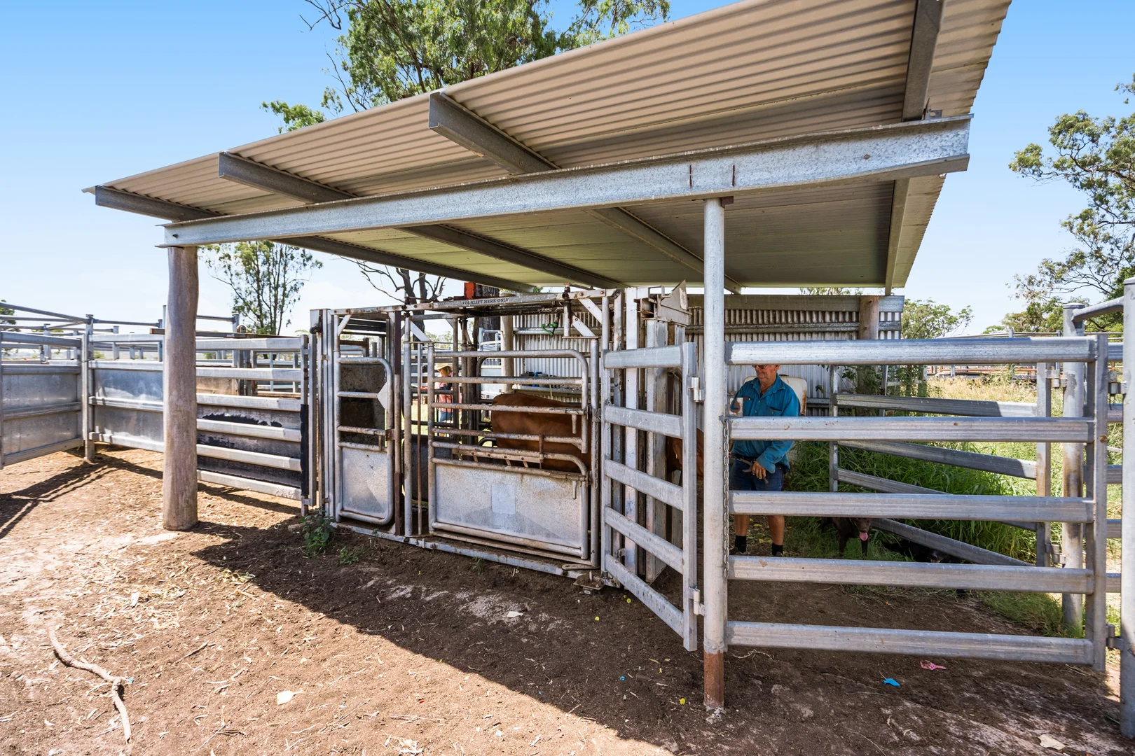 Additional image 23 of 'Ashby' 48 Felton View Road, Ellangowan QLD 4361