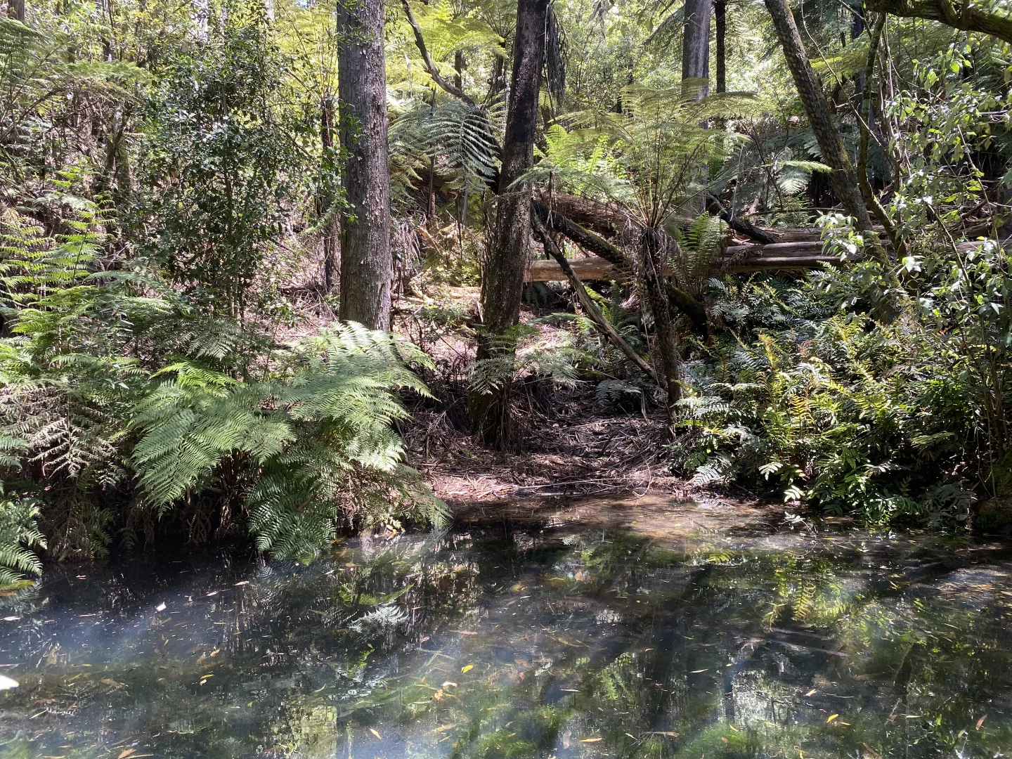 Additional image 16 of 486 Extons Road, Kinglake Central VIC 3757