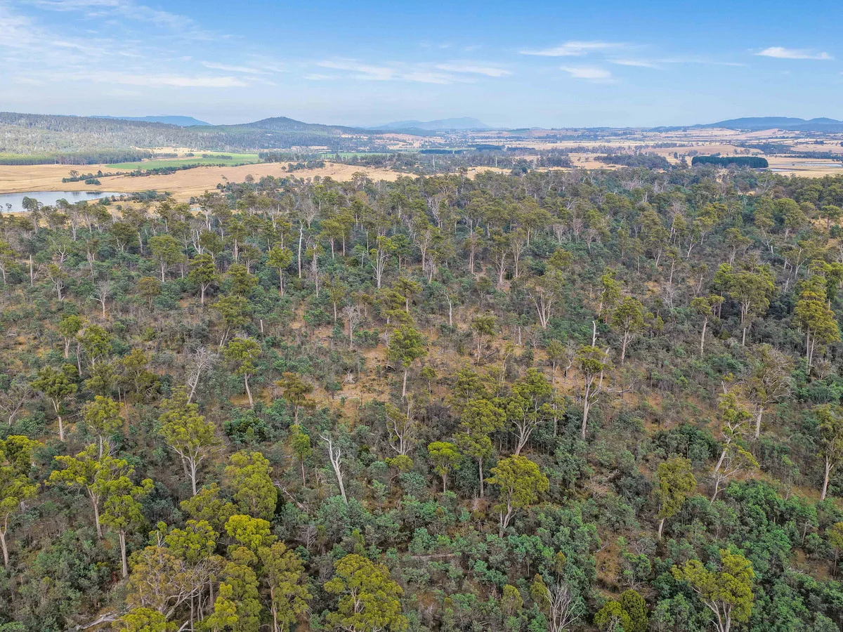 Additional image 11 of 179 Cluan Road, Cluan TAS 7303