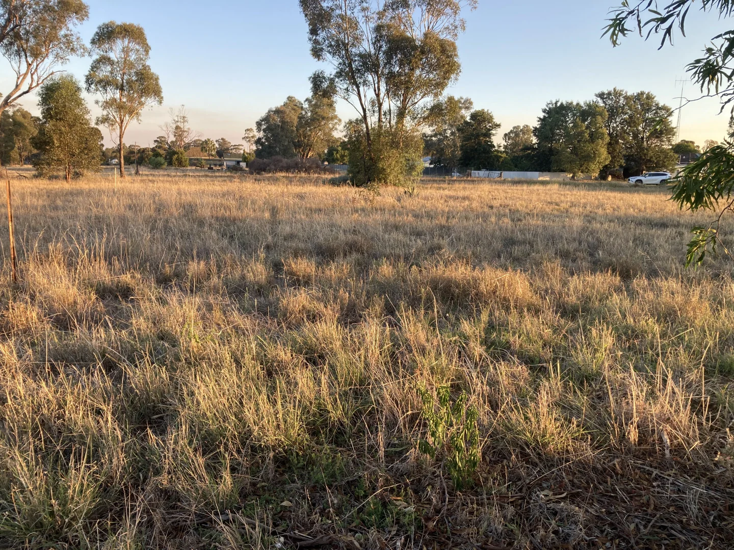 Additional image 3 of 22-28 Martin Street, Barmedman NSW 2668