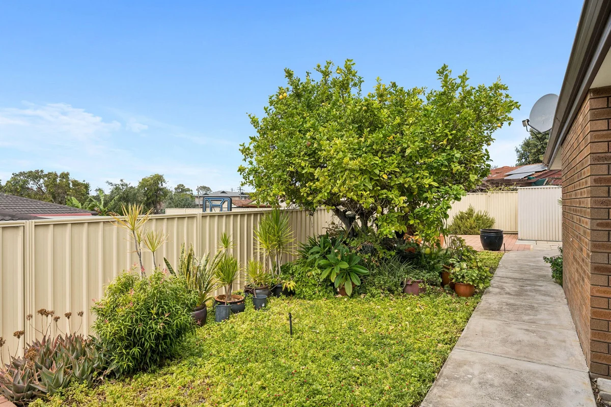 Additional image 18 of 32A Chadstone Road, Craigie WA 6025