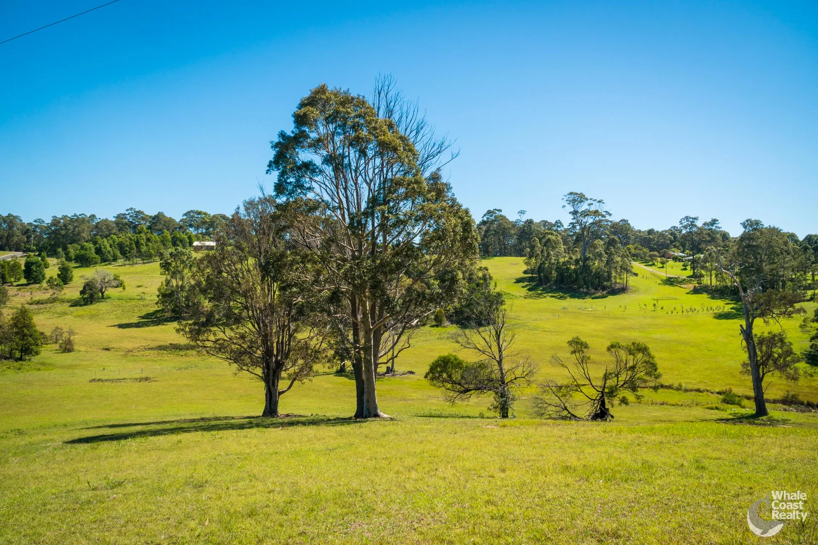 Additional image 8 of 9, 81 Wonga Road, Narooma NSW 2546