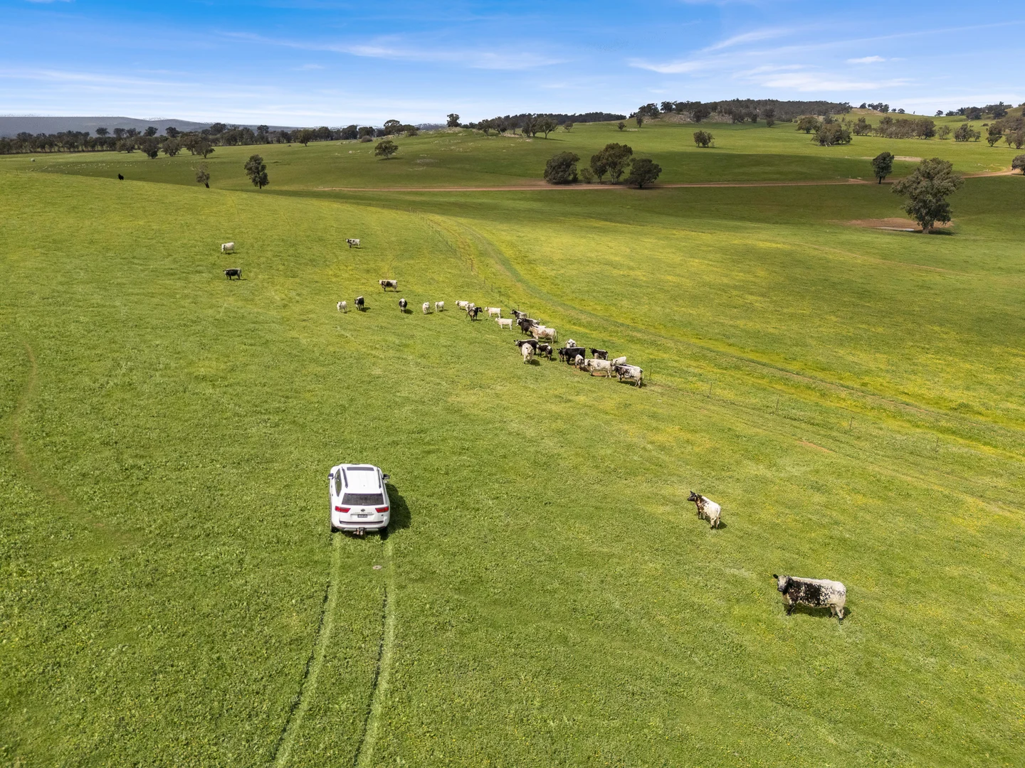 Additional image 33 of 2056 Benalla-Yarrawona Road, Bungeet West VIC 3726