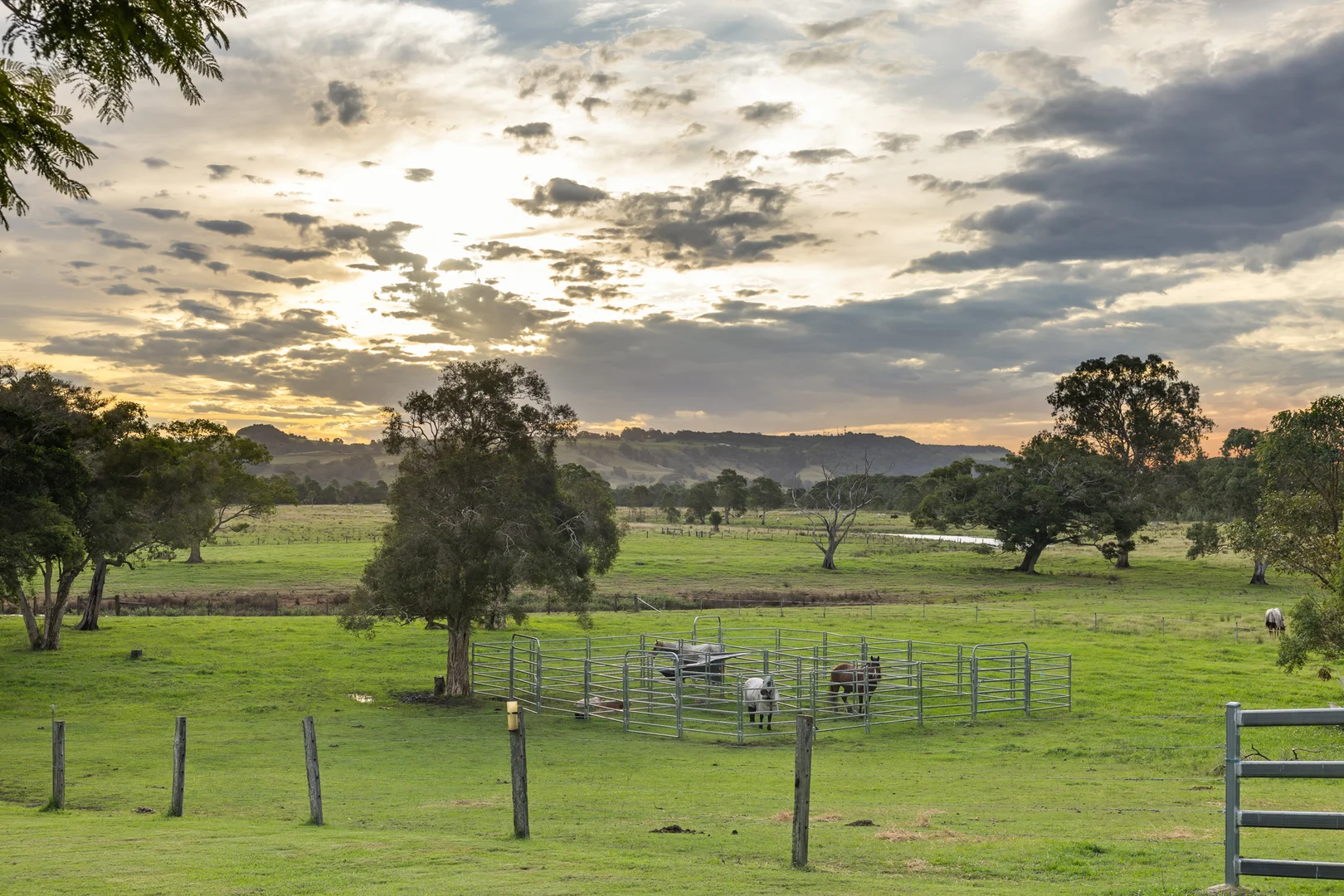 Additional image 24 of 279 River Bank Road, Wyrallah NSW 2480