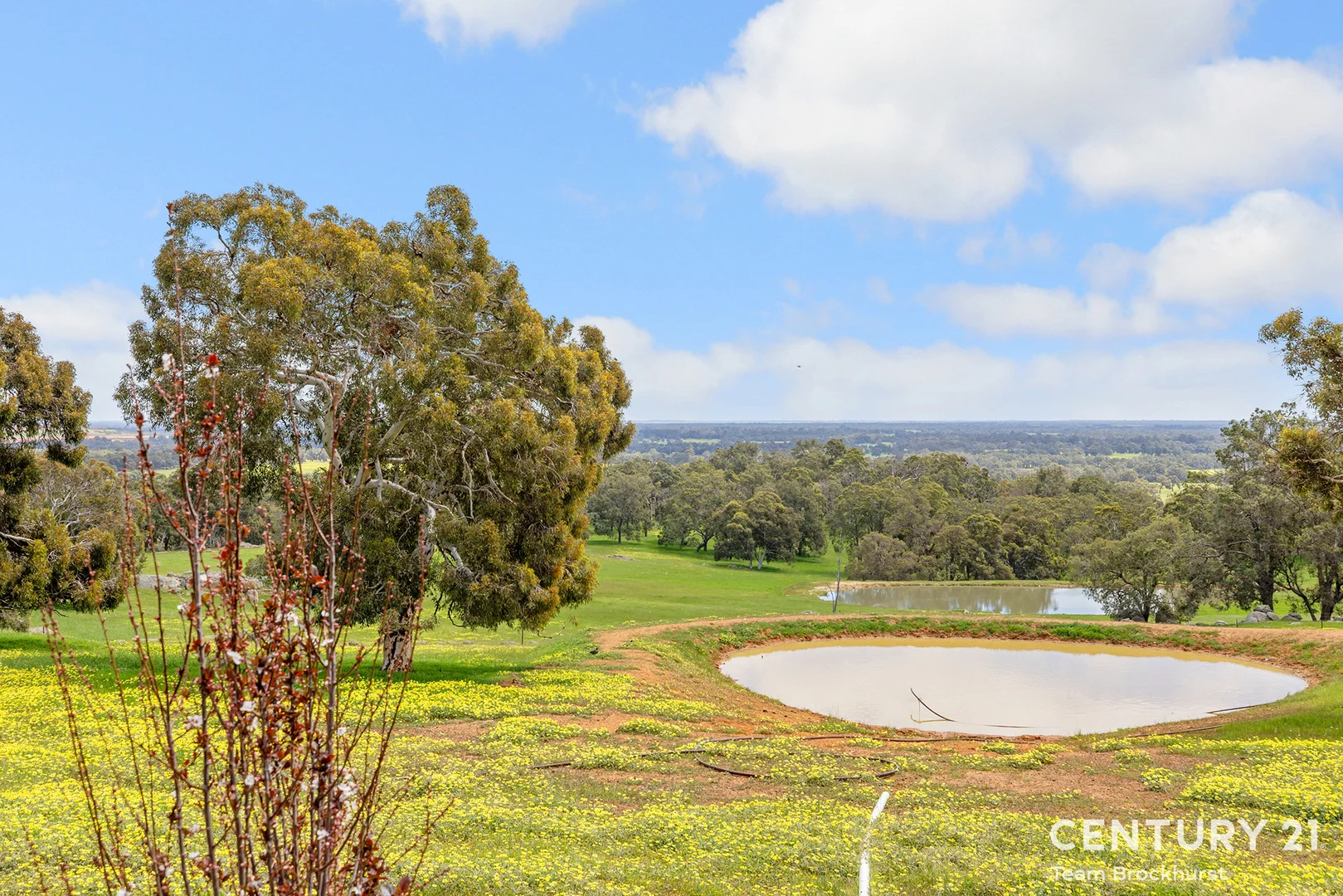 Additional image 28 of Lot 199 Morrell Road, Fairbridge WA 6208