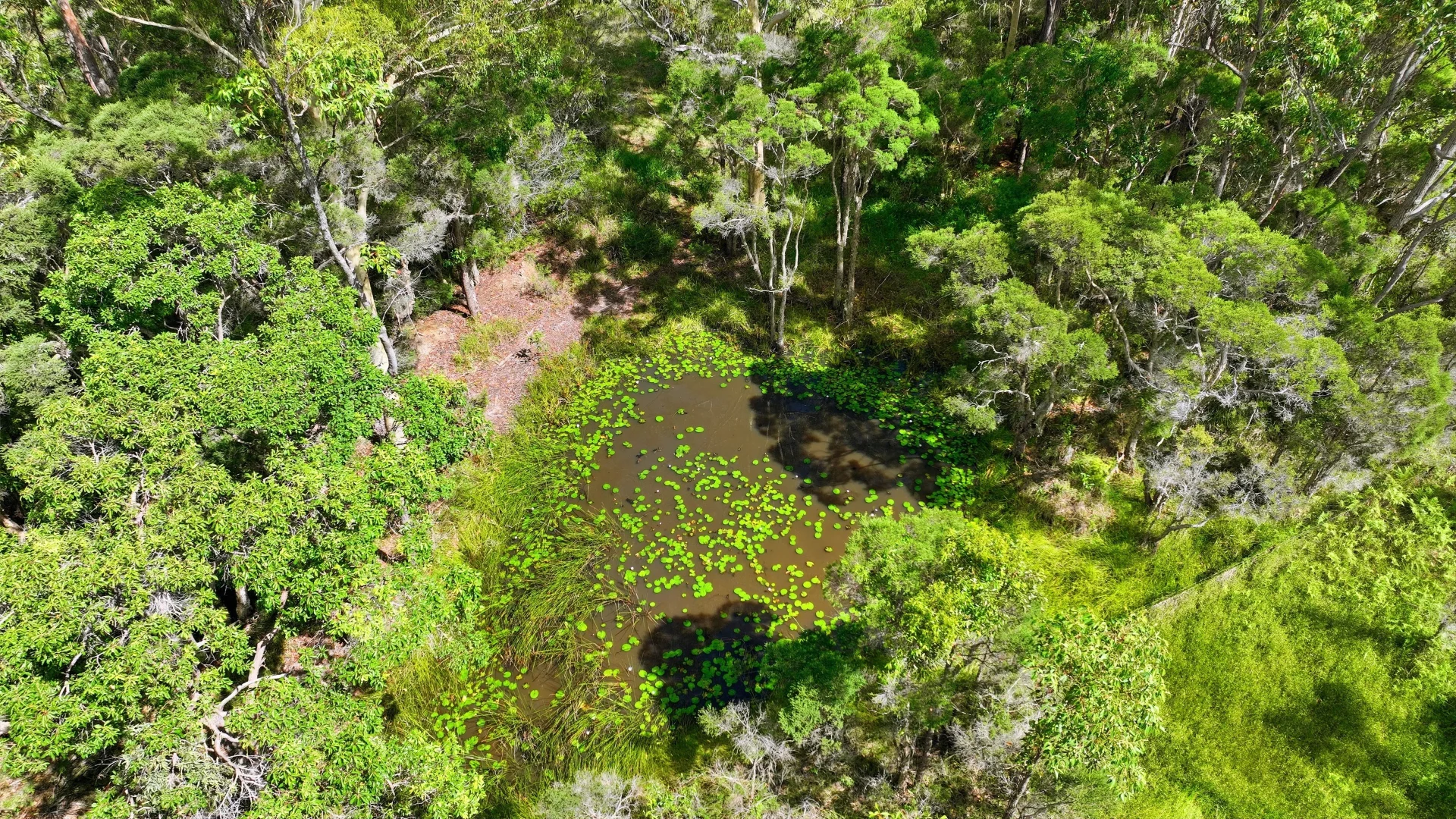 Additional image 27 of 356 Omega Drive, Kungala NSW 2460