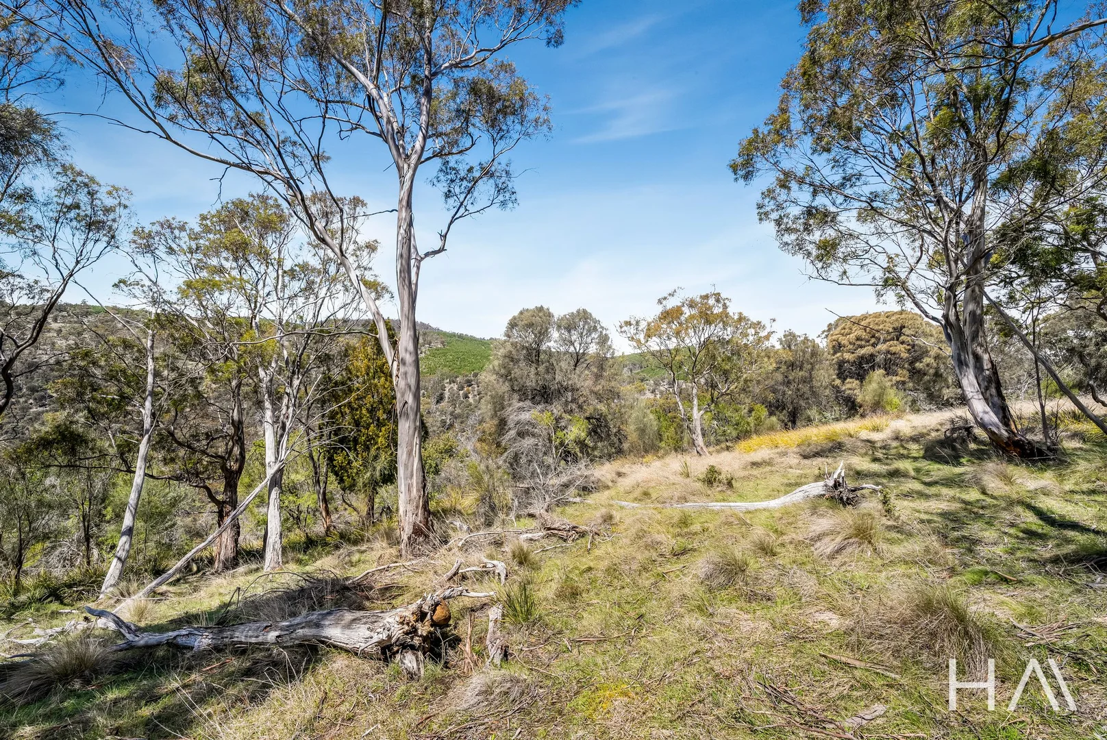 Additional image 11 of 00 Uxbridge Road, Bushy Park TAS 7140