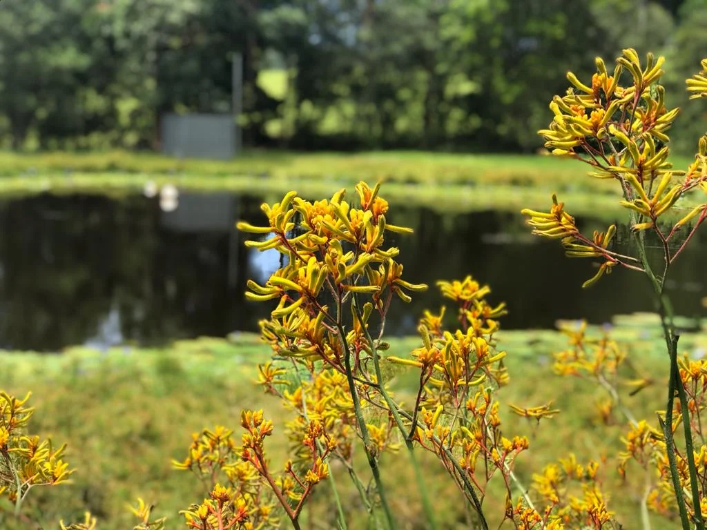 Additional image 15 of 265A South Boambee Road, Boambee NSW 2450