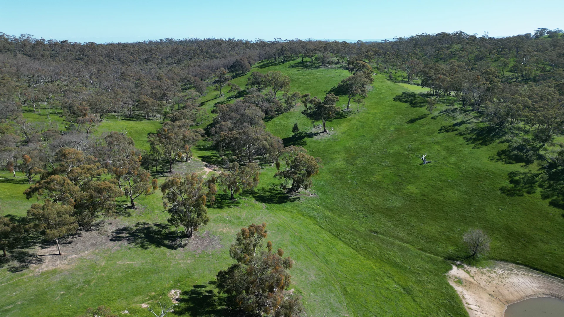 Additional image 26 of 97 McCord Lane, Gillentown SA 5453