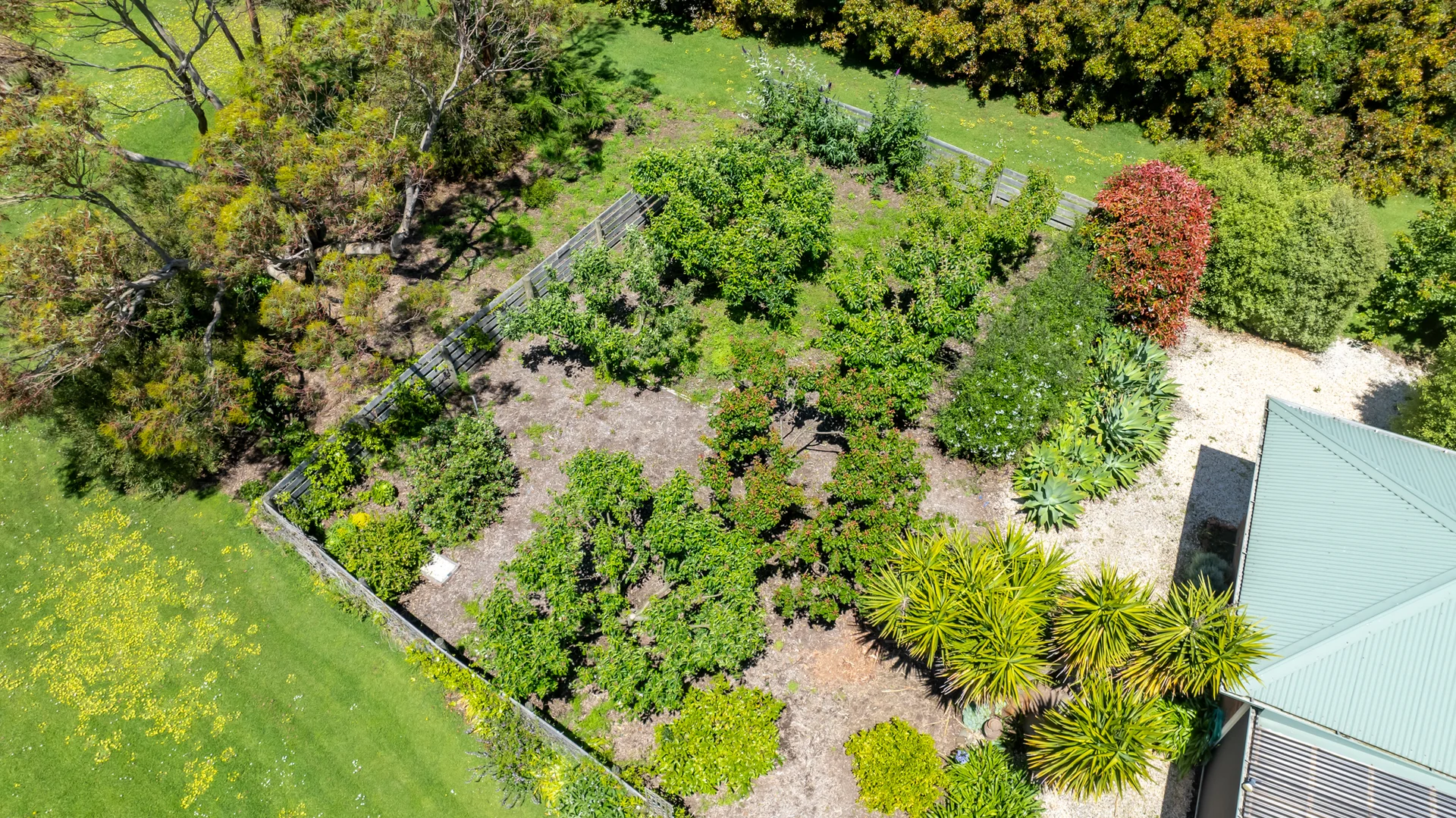 Additional image 23 of 14 Mckenzies Road, Bushfield VIC 3281