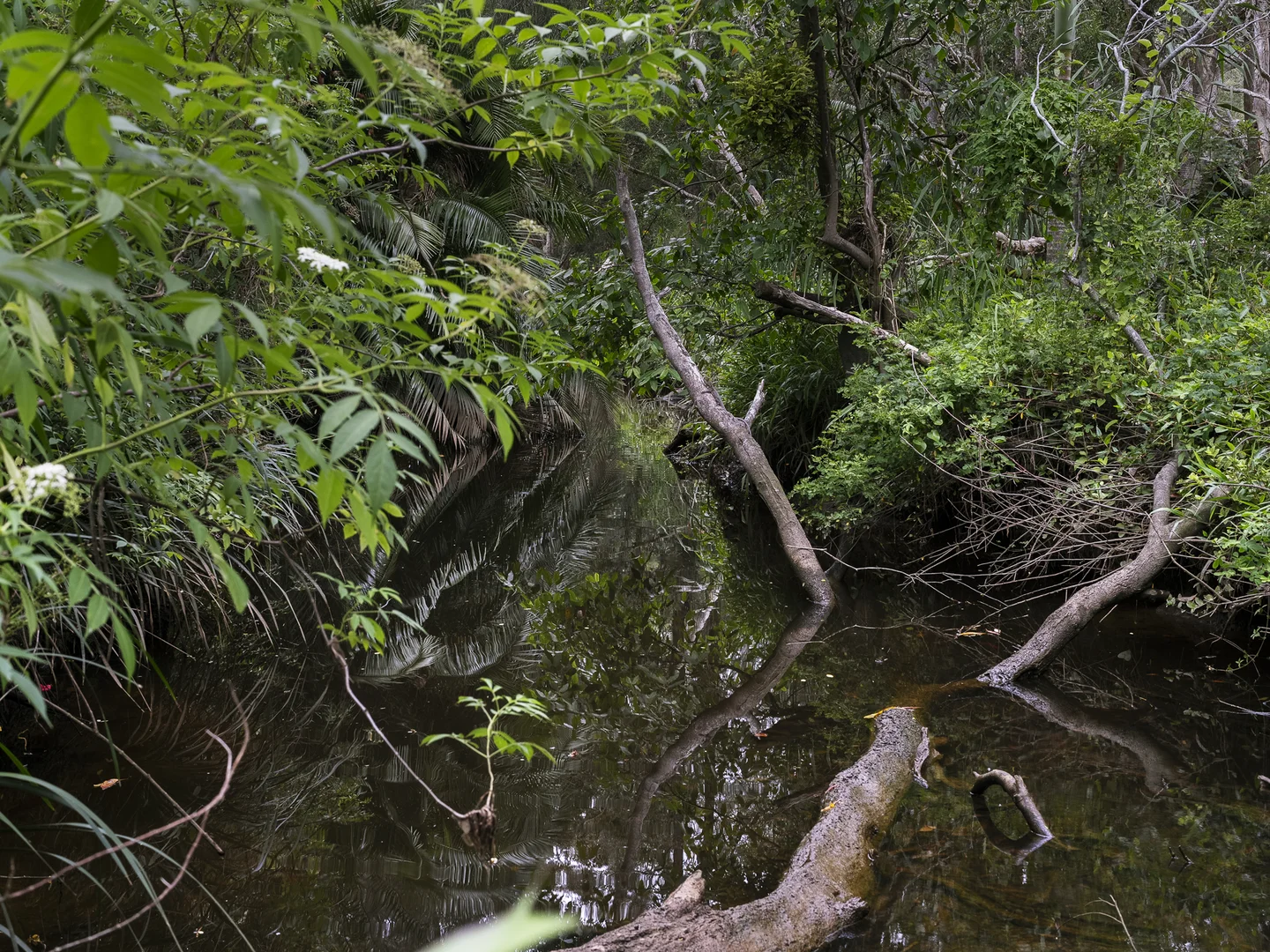 Additional image 18 of 1 Sixteenth Avenue, Sawtell NSW 2452